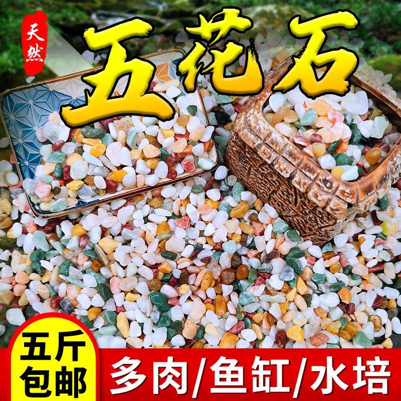 天然七五彩石铺面石鱼缸底砂花盆
