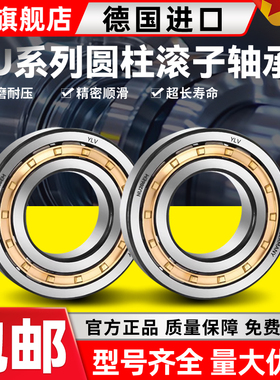 德国进口YLV圆柱滚子轴承RNU202 203 204 205 206 207 208 209EM