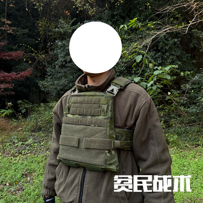 PEWTAC定制 AVS MBAV 战术背心4件开团 带HARNESS背架支撑
