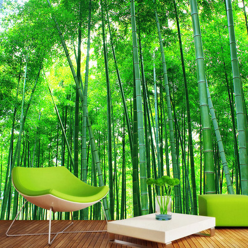 竹林客厅背景墙价格 竹林客厅背景墙图片 星期三
