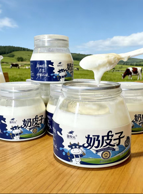 新疆奶皮子酸奶鲜牛奶发酵乳手工酸奶低温冷运251g*4罐酸奶酪疙瘩