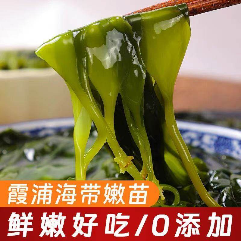 海带苗嫩苗霞浦新鲜海带嫩苗嫩芽火锅天然商用海鲜干货裙带菜