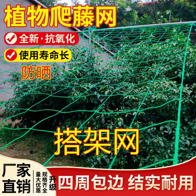 植物爬藤网攀援网园艺搭架网瓜果丝瓜苦瓜藤蔓花卉百香果种植网