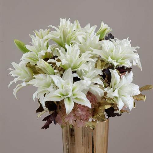 百合球根价格 百合球根图片 星期三