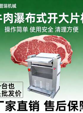 不锈钢设备牛肉牛肉切片机商用304肉类机设开片大片连续式猪肉