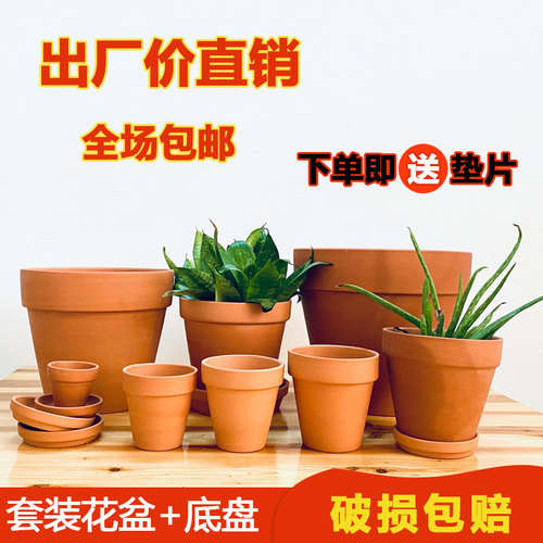 室内植物带托盘红陶花盆清仓包邮