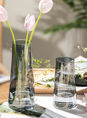 北欧简约ins 风网红透明水养玻璃花瓶轻奢创意迷你小摆件桌面装饰