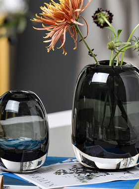 日式简约创意原色玻璃花瓶水培鲜花插花工艺品客厅装饰品餐桌摆件