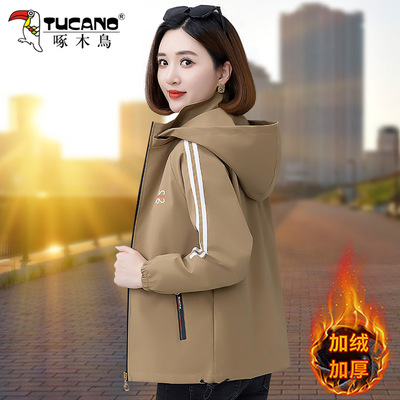 啄木鸟短外套女士秋冬季2025新款