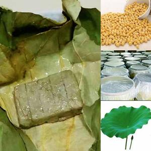 热销徐州特产臭豆腐乳荷叶包臭豆腐乳农家自制霉豆腐无油原味下饭
