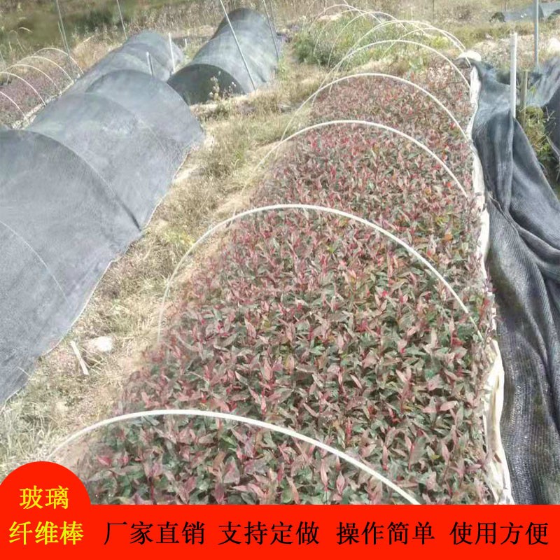 高端棚拱杆支菜骨架蔬棚大棚大拱棚架F菜小支架玻璃纤维保温棚弹