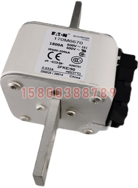 170M6693/6694/6695/6696/6697/6698/6699/6700快速保险丝熔断器