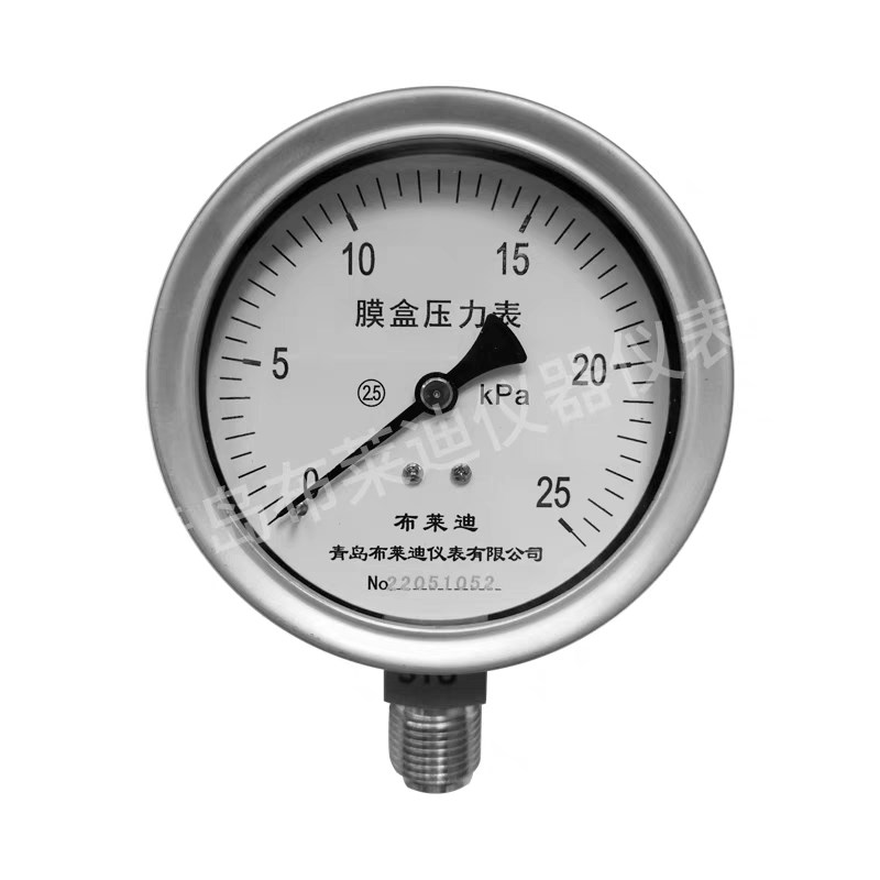 青岛布莱迪不锈钢膜盒压力表YE-100BF 微压表差压表