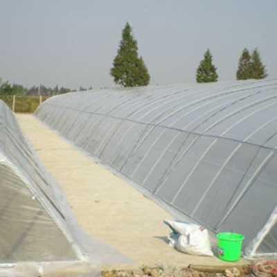 新品塑料薄膜聚乙烯 透明大棚薄膜中膜加厚室内装修112S整卷12米