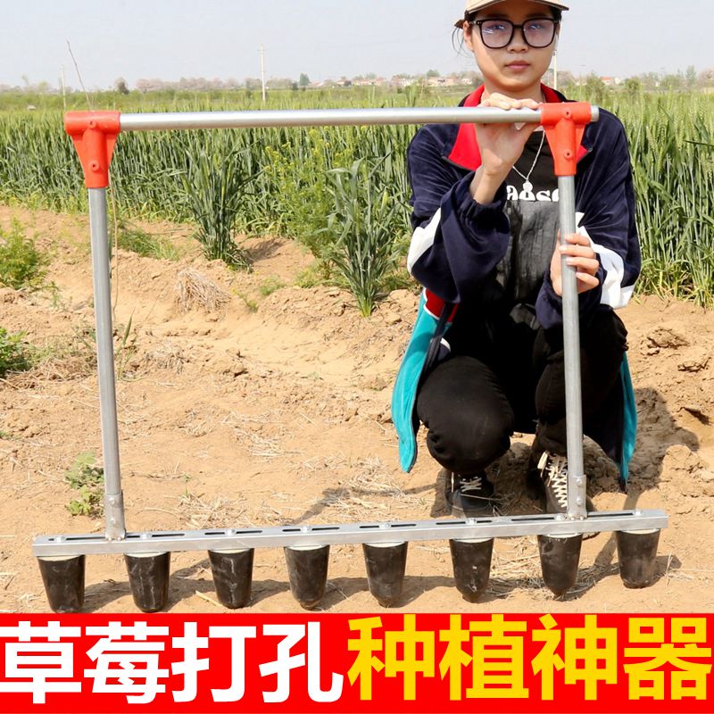 草莓种植打孔神器农用工具栽苗器打孔种植撒饵器大棚栽草莓打洞器