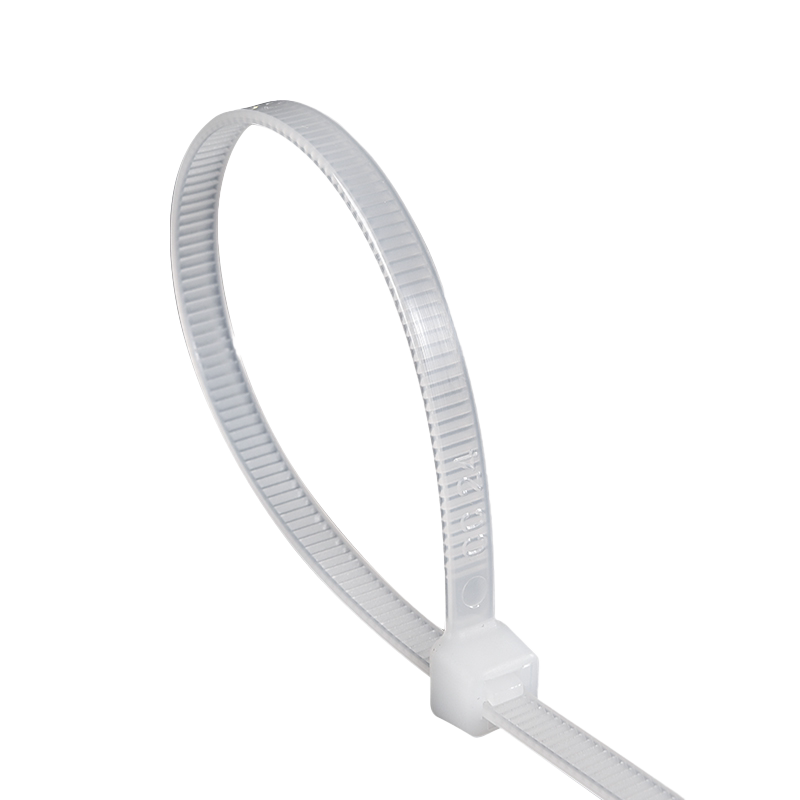 自锁式尼龙塑料扎带捆绑扎线带扎带线黑白色绑扎带卡扣束线带白色