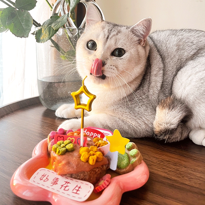 moyu生日礼盒猫蛋糕零食套装