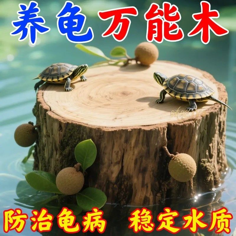 乌龟龙眼木晒台天然免煮预防腐皮白眼调节水质PH值打造生态造景缸,童装/婴儿装/亲子装,儿童装饰手表,淘宝优惠券,粉丝福利购,淘宝优惠卷