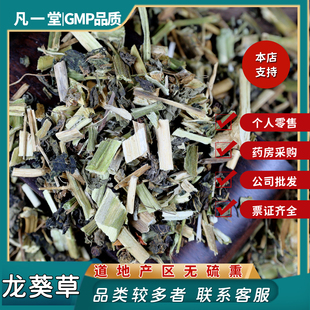中药材 龙葵草 龙葵 黑豆豆 野葡萄 草苦葵