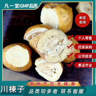 凡一堂 中药材 川楝子 生川楝子 苦楝子 楝实金铃子粉 中草药