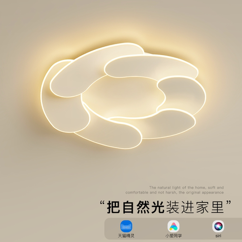 中师傅创意简约卧室书房吸顶灯