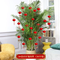 Фонарь, 30 шт