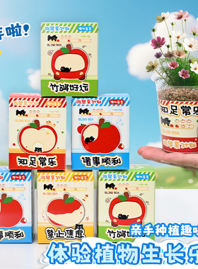2025新款情绪价值苹果猫植物盲盒盆栽幼儿园全班分享学生奖励礼品