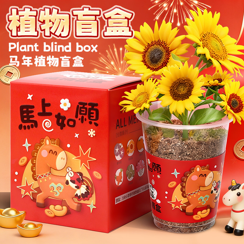 马年限定植物盲盒学生种植小盆栽室内迷你桌面期末礼物幼儿园奖品
