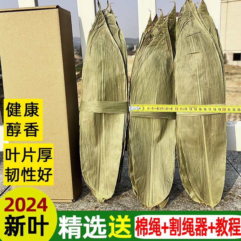 食主题新鲜干粽叶江西健康粽叶