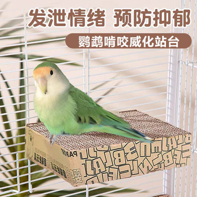 鹦鹉威化纸板站台玩具