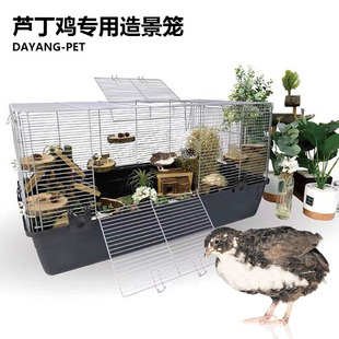 芦丁鸡笼子造景饲养箱养殖笼专用厚铺发酵床科尔鸭鹌鹑家用别墅箱