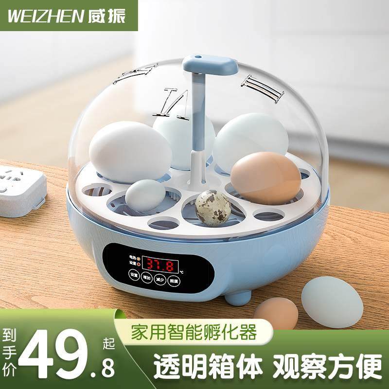 孵化器家用小型芦丁鸡鸟类孵蛋器全自动智能恒温小鸡鸟类孵化机,五金/工具,电热工具,淘宝优惠券,粉丝福利购,淘宝优惠卷