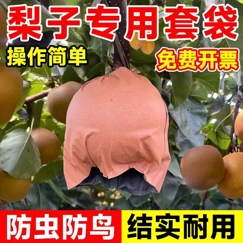 梨子套袋专用防雨防水防虫鸟苹果芒果葡萄石榴水果枇杷保护袋透气