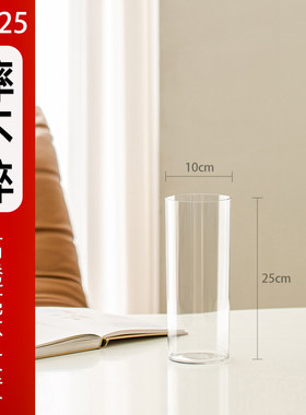 亚克力花瓶摆件客厅插花玻璃透明高级感水养直筒富贵竹塑料防摔大