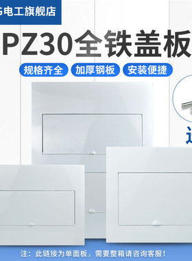 PZ30全铁配电箱盖板明暗装强电回路箱通用白色面板全阻燃消防盖子