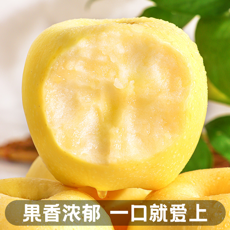 黄金苹果山东烟台当季礼盒装