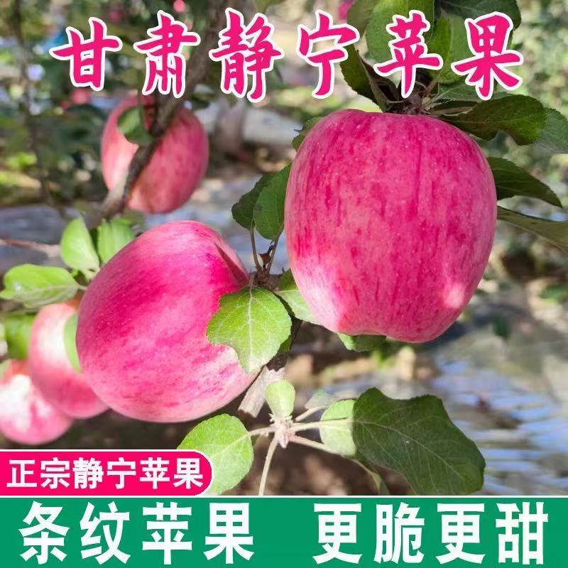 正宗甘肃静宁苹果红富士条纹苹果5斤装新鲜水果脆甜多汁,水产肉类/新鲜蔬果/熟食,苹果,淘宝优惠券,粉丝福利购,淘宝优惠卷