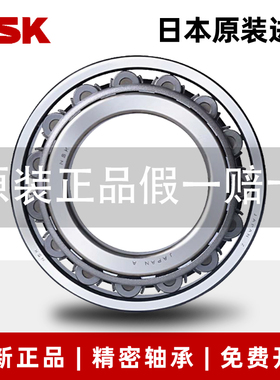 进口NSK轴承N203 N204 N205 N206 N207 N208 N209 N210 W EM ETC3