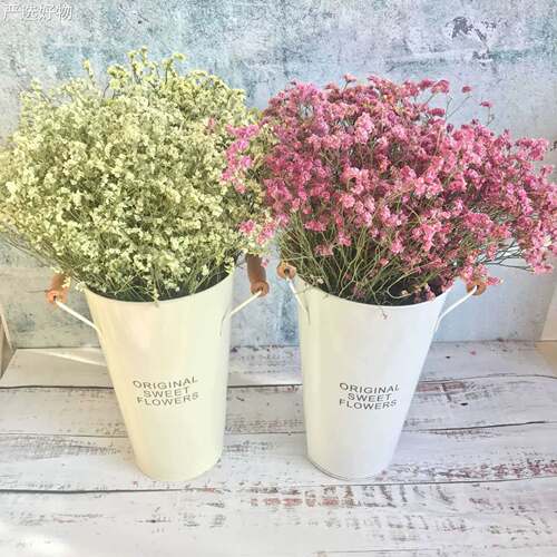 【全国包邮】勿忘我包干花花鲜花一斤低价半散装邮永束生花真花论