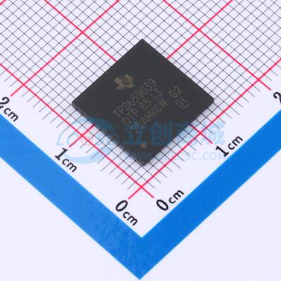 O9039A385IZWSRQ1 NFBGA-169(12x12) 专业电源管理(PMIC) TI(德州