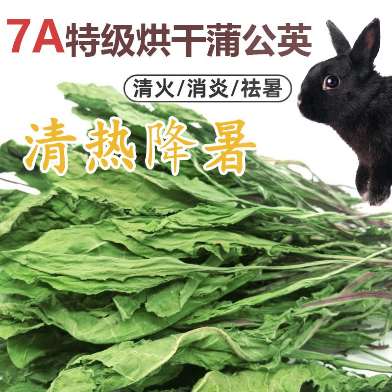 兔子蒲公英草干草清热解毒烘干蒲公英牧草牧草兔子龙猫蒲公英清火