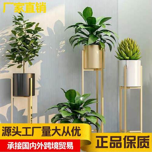 北欧铁艺花架子置物架创意金色落地客厅装饰花架子室内绿萝花盆架