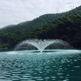 增氧浮水泵鱼塘增氧泵池塘养殖排水灌充氧气机水产 臣源喷水式