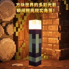 爆款我的世界变光火把灯高质量火炬公园小区小孩子火爆MC