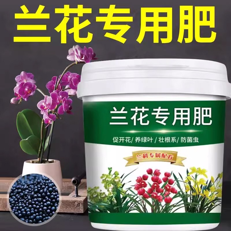 兰花专用肥强根壮苗促开花颗粒缓释不烧根四季通用蝴蝶兰开花植料