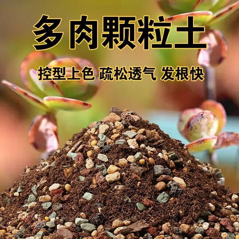 多肉颗粒土多肉专用土多肉土营养土法师老桩成株幼苗小颗粒配比