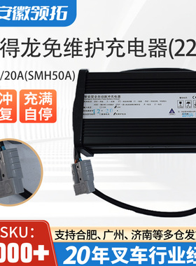 叉车配件外置充电机DL得龙免维护充电器220V 12V/20A(SMH50A)现货