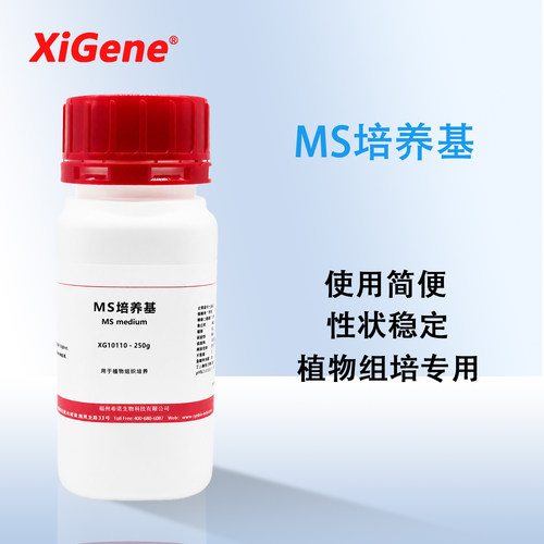 XiGene ms培养基 植物细胞组织培养基 粉瓶装组培基质营养实验室