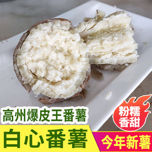 高州爆皮王番薯白心面包王红薯新鲜粉糯香甜现挖农家板栗干面地瓜