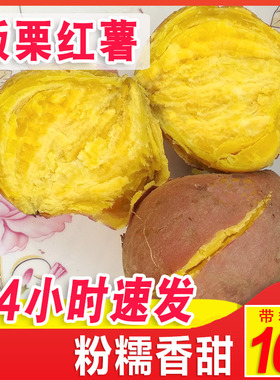 板栗红薯新鲜农家自种黄心栗子干面地瓜现挖粉糯甜鸡蛋黄番薯 5斤